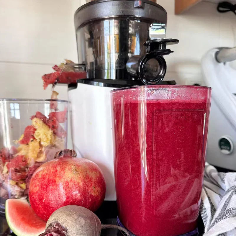 Rankinės sulčiaspaudė ar lėtaeigė? Palyginimas ir pasirinkimo gidas