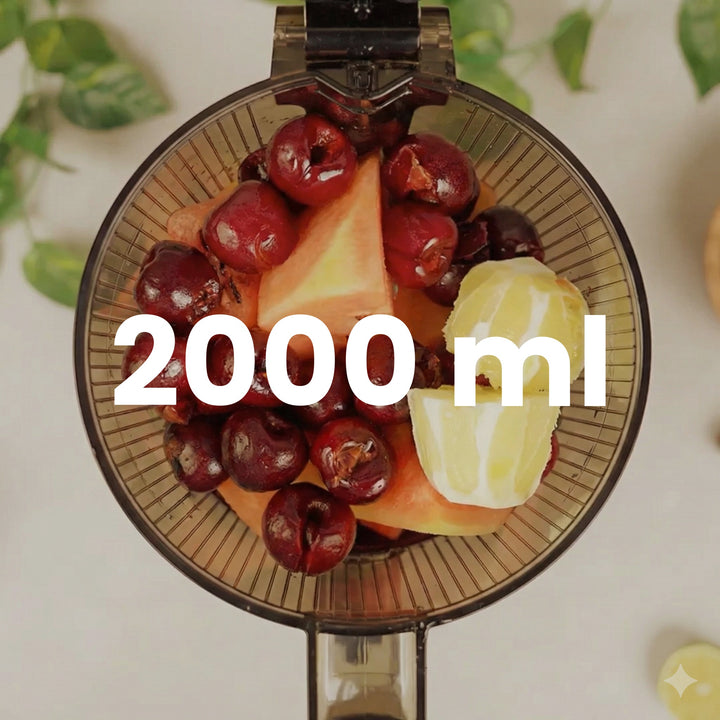 Lėtaeigė sulčiaspaudė AUTO8 su papildomu šerbeto sieteliu